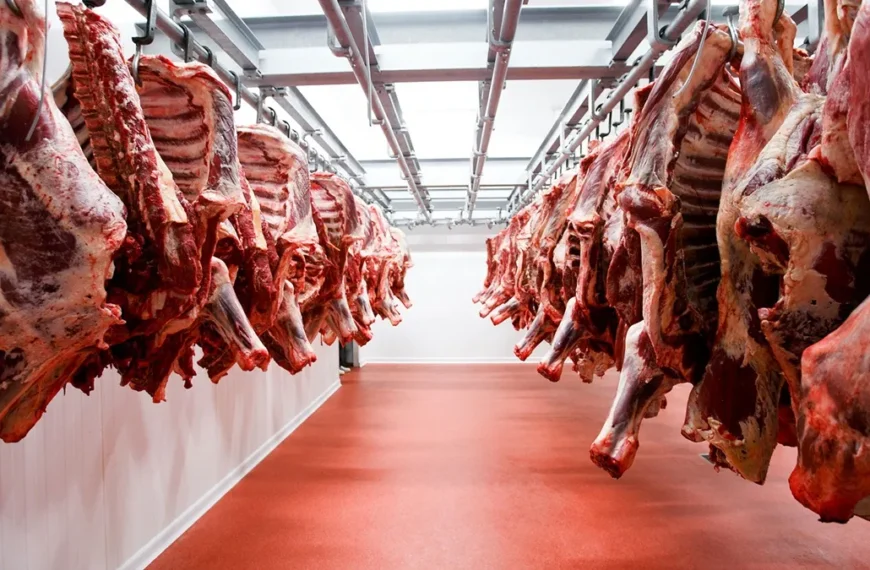 El Gobierno suspende las exportaciones de carne