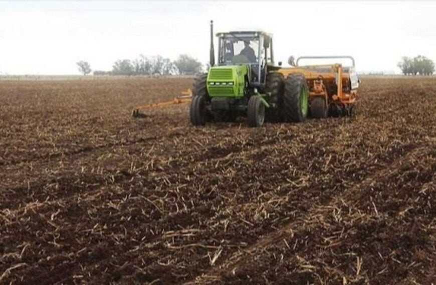 El Gobierno entregará fertilizantes a 77.000 pequeños productores de trigo…