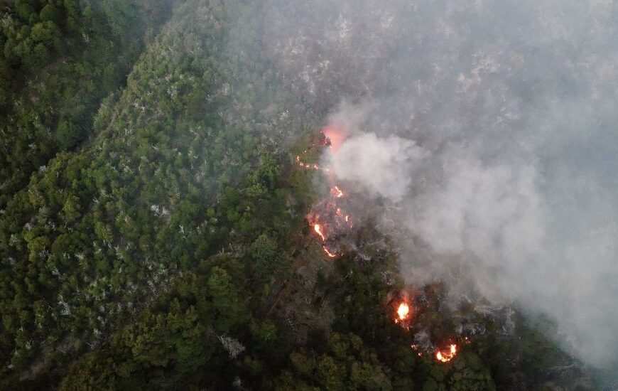 Siguen los intentos de apagar el fuego en el Parque&hellip;