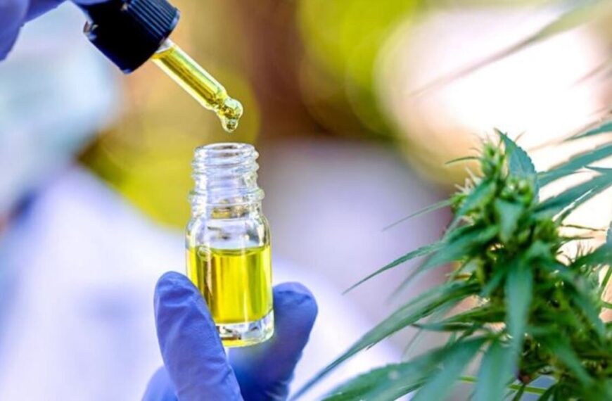 Bullrich confirmó que dará de baja el Reprocann