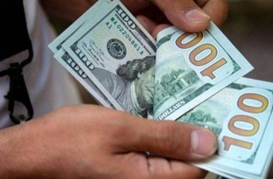 Nuevas restricciones al dólar: quienes compren oficial no podrán operar&hellip;