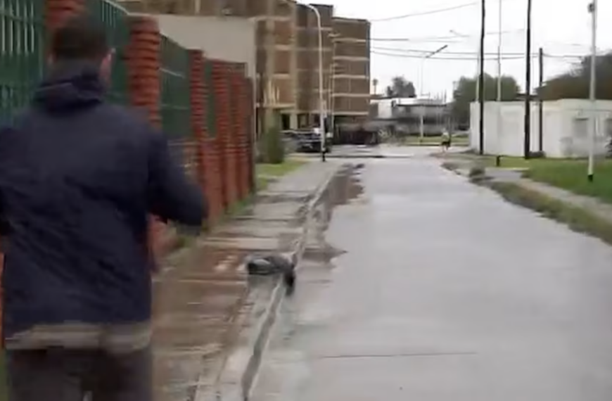 Robo a un equipo de TV en Avellaneda: los&hellip;