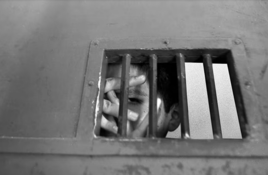 La Justicia levantó el freno a la baja de…